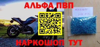 индика Камышлов