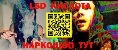 индика Камышлов