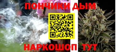 индика Камышлов