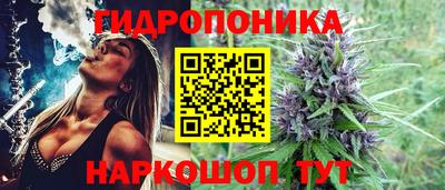 скорость Кандалакша