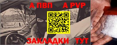 индика Камышлов