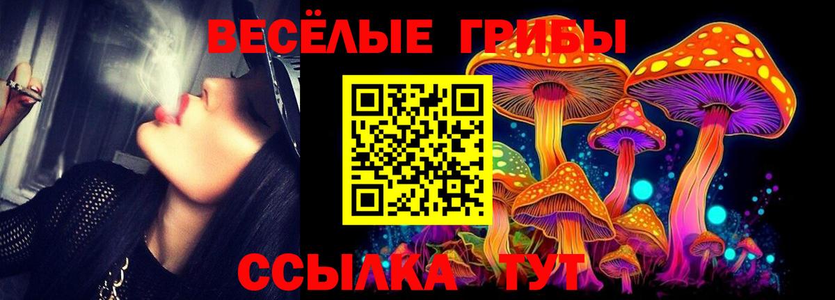наркошоп  Вход с VPN  Коммунар  Галлюциногенные грибы Psilocybe 